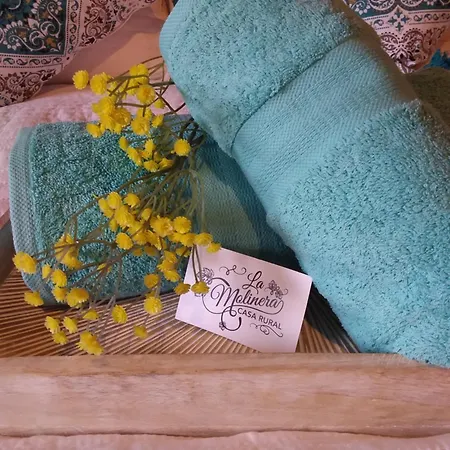 Venkovský dům Romantic La Molinera Santa Lucia